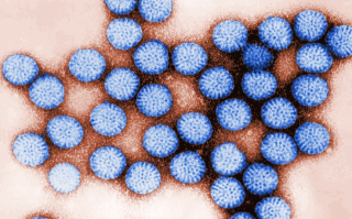 rotavirüs aşısı